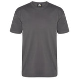 orn_plover_premium_t-shirt_graphite