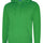 Uneek UC509 - Deluxe Hooded Sweatshirt - Amazon Green / XS - Hoodies: Yellow